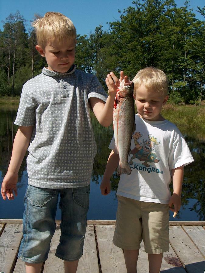 Torne Camping - Kano & Fiskecamp Grimslov Buitenkant foto